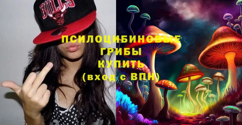 shop Telegram  Гусь-Хрустальный  Галлюциногенные грибы MAGIC MUSHROOMS 